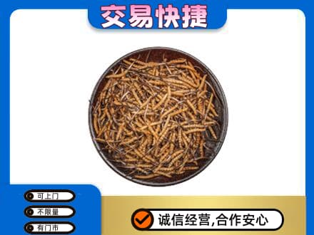 阳泉市城区高价回收散虫草